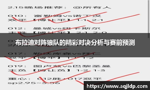 布拉迪对阵狼队的精彩对决分析与赛前预测