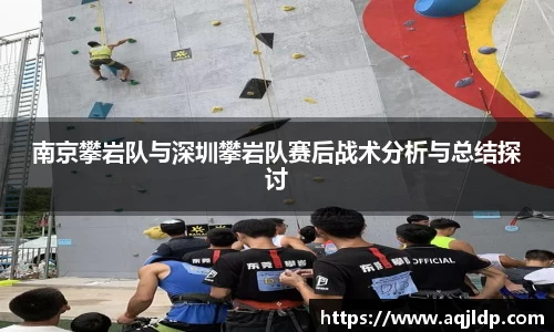 南京攀岩队与深圳攀岩队赛后战术分析与总结探讨
